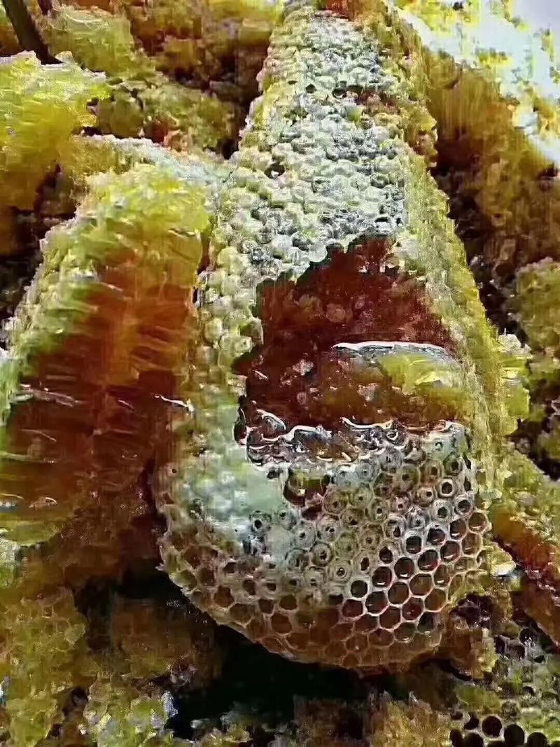 野生蜂蜜保证质量