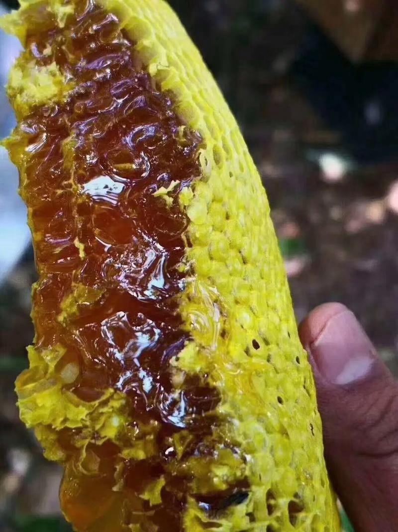 野生蜂蜜保证质量