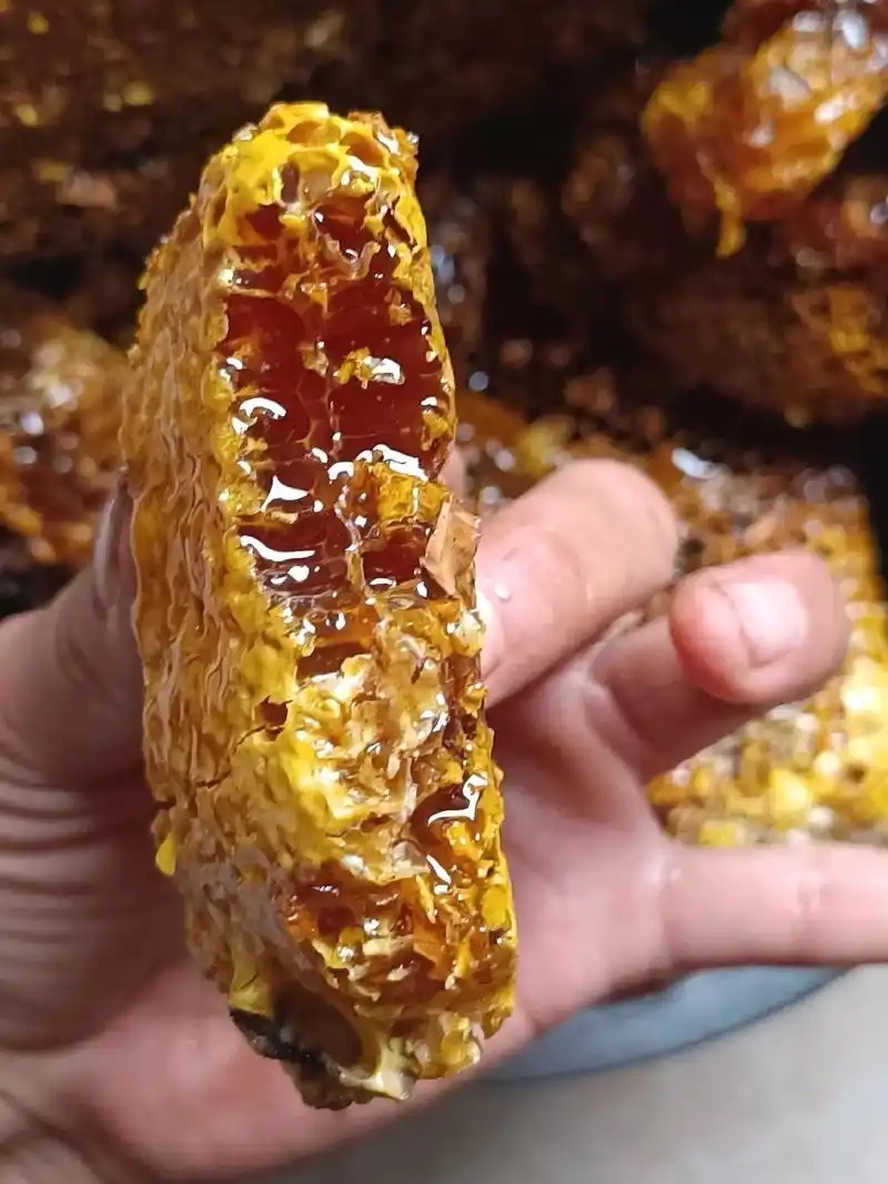 野生蜂蜜保证质量