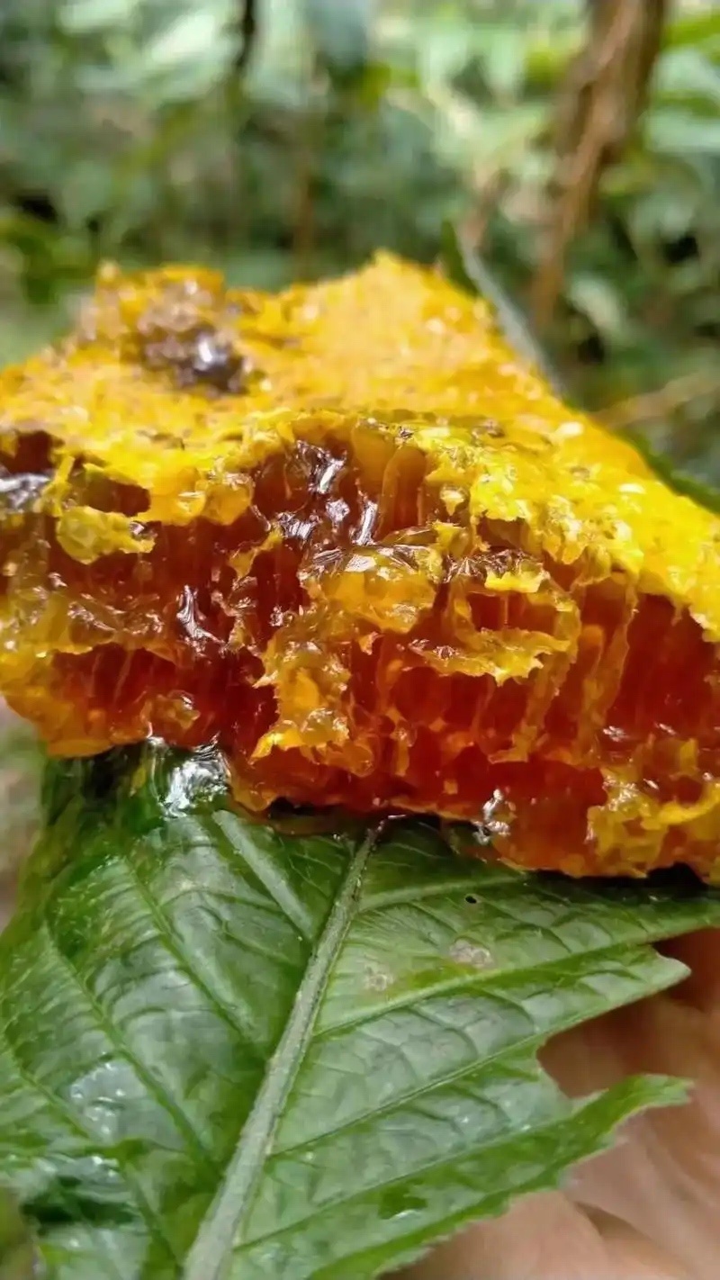 野生蜂蜜保证质量