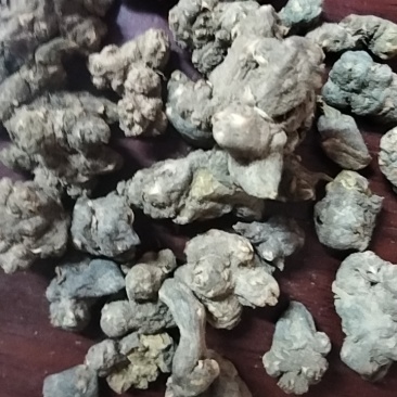 夏天无