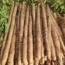 《热卖》广西白鬼淮山药基地直发对接商超团购电商一条龙