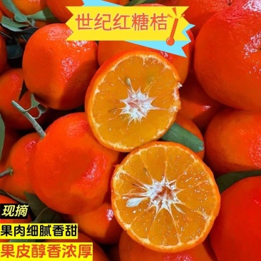《热卖》广西东方红蜜橘对接，外贸出口，商超，团购，电商