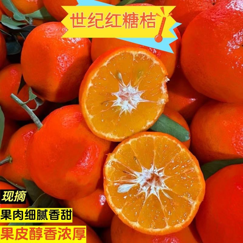 《热卖》广西东方红蜜橘对接，外贸出口，商超，团购，电商
