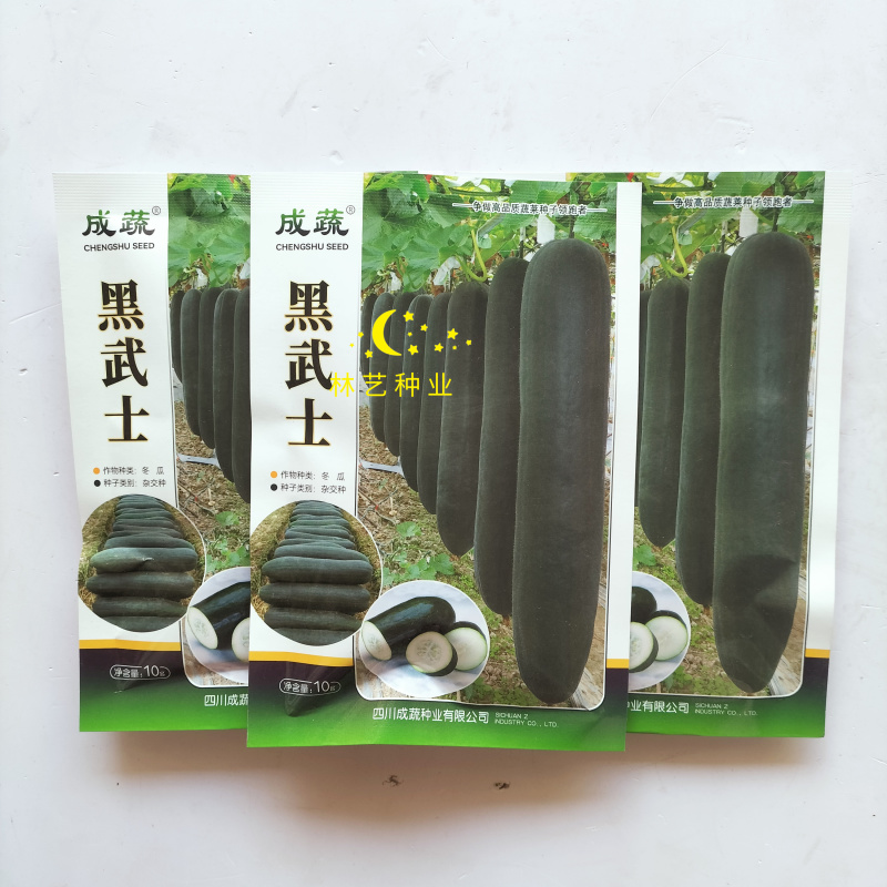黑武士冬瓜种子炮弹形墨绿色老式高钙进口不辣当季种植