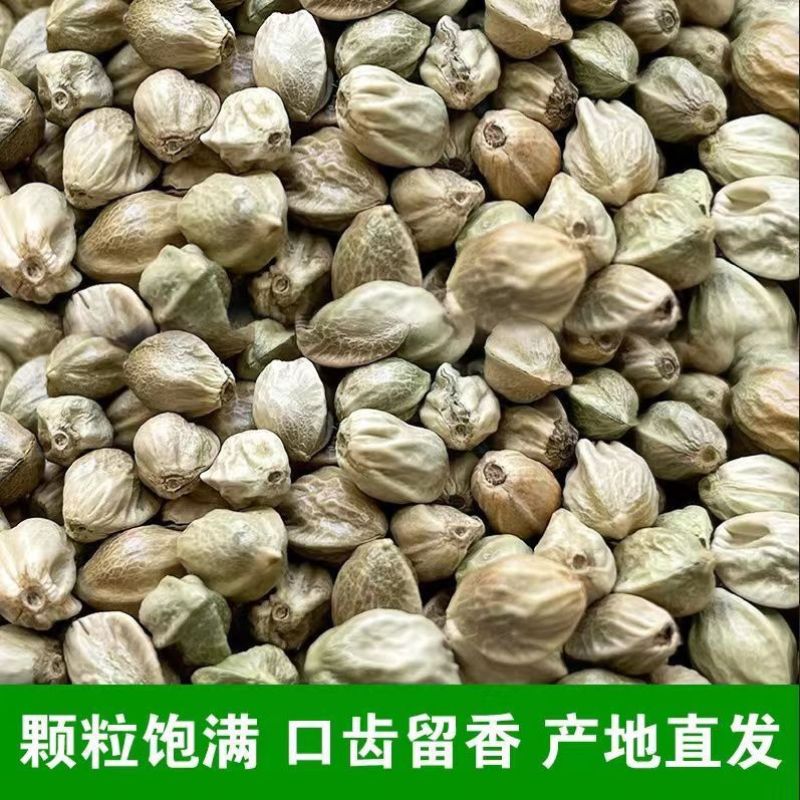 批发大麻子