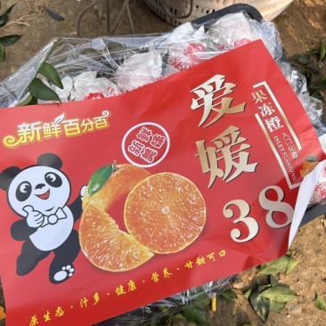 爱媛果冻橙38号