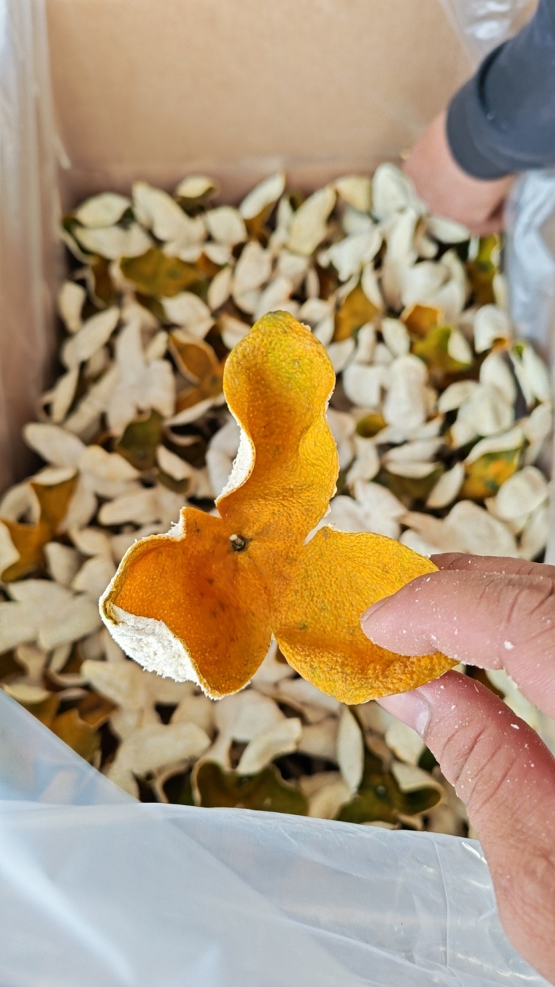广西陈皮