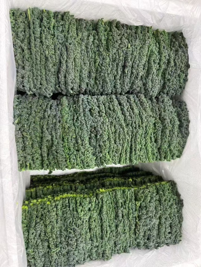精品皱叶菜叶片肥厚褶皱多颜色墨绿