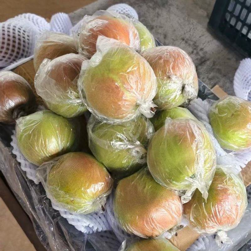 玉露香梨