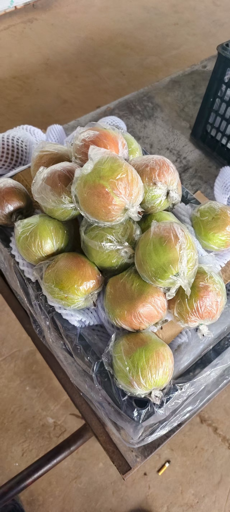 玉露香梨