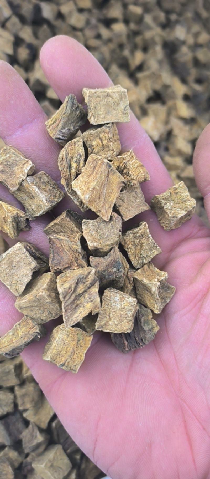 大黄可打粉药用兽用各种规格大黄质量保证量大从优
