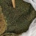 中药材小叶金钱草马蹄金货源充足，保证质量