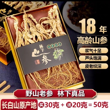 长白山人参野山参东北林下参生晒参整支老参干人参泡酒礼盒装