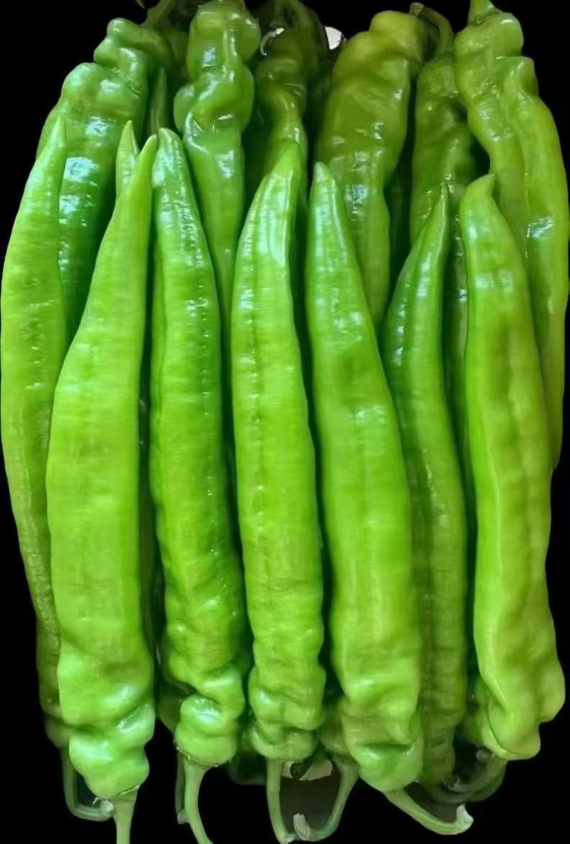 辣椒