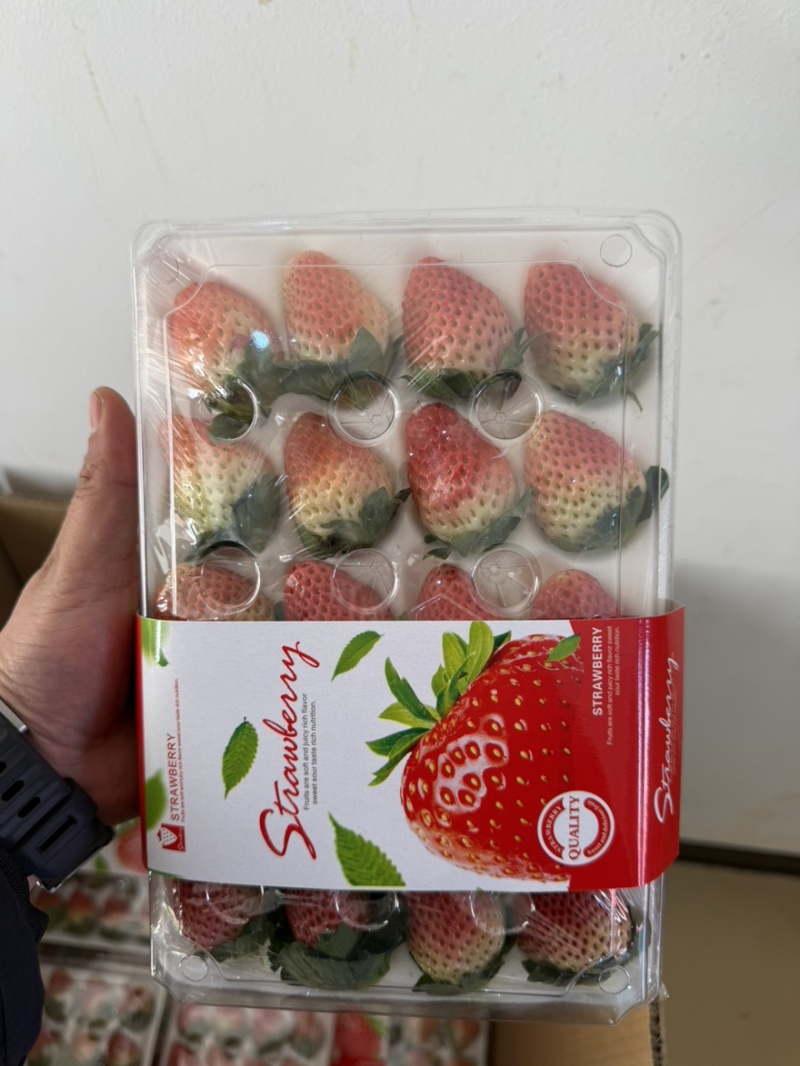 正宗大凉山德昌奶油草莓，新鲜应季水果孕妇酸甜水果，糖葫芦