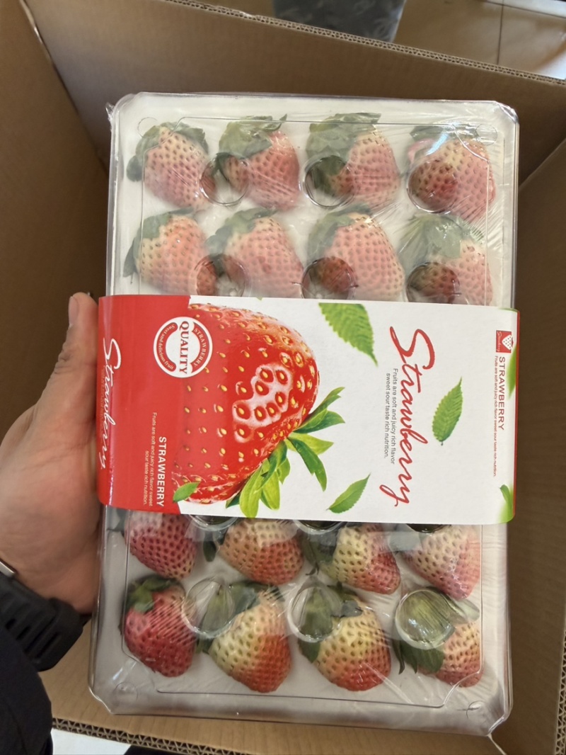 正宗大凉山德昌奶油草莓，新鲜应季水果孕妇酸甜水果，糖葫芦