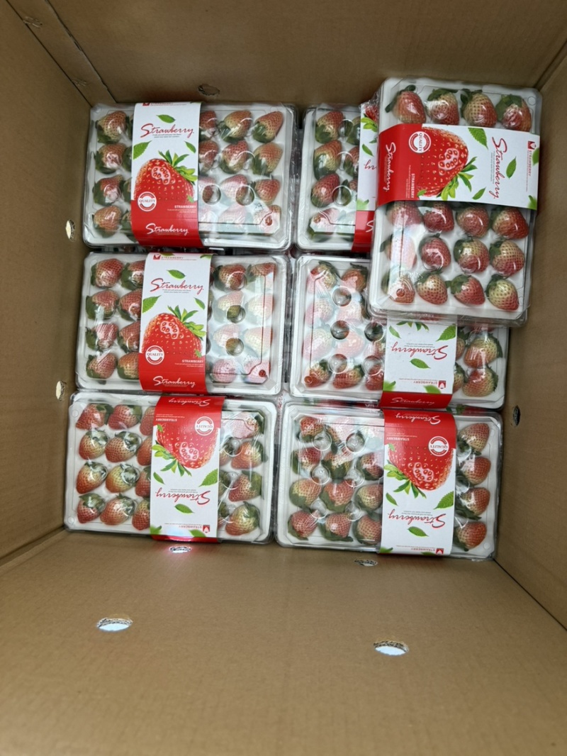 正宗大凉山德昌奶油草莓，新鲜应季水果孕妇酸甜水果，糖葫芦