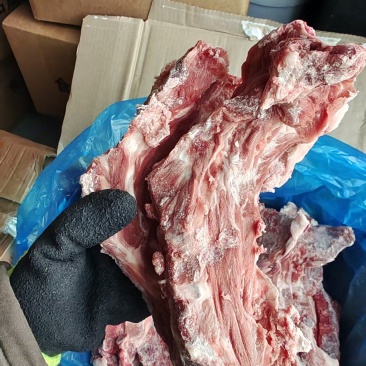 多肉猪颈骨