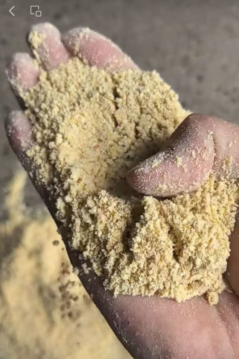 高质玉米次粉，玉米次粉，适口性好，价格美丽