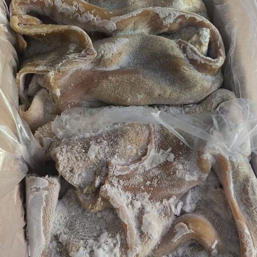 清水煮熟牛肚，纯干不碱发，牛肚火锅，小炒，牛肚汤合适