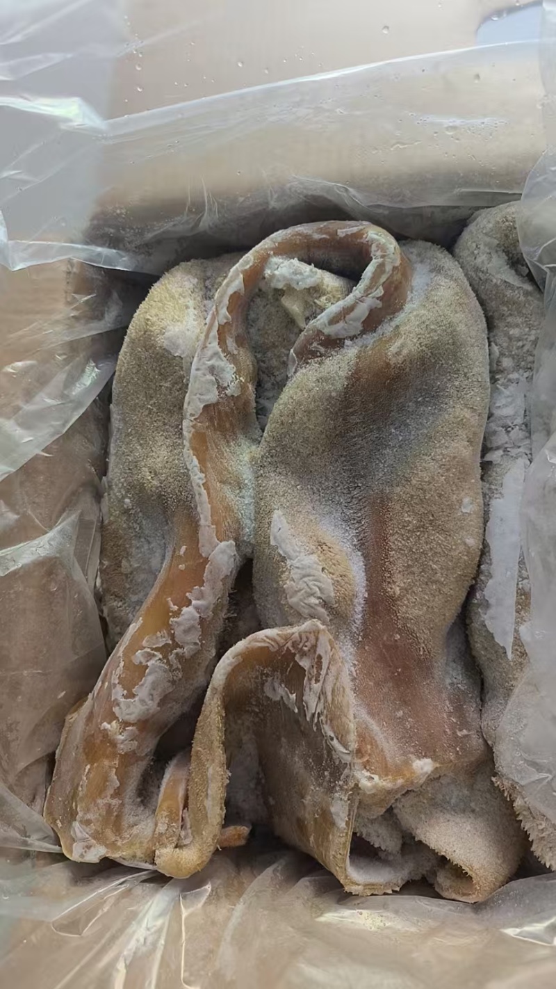 清水煮熟牛肚，纯干不碱发，牛肚火锅，小炒，牛肚汤合适
