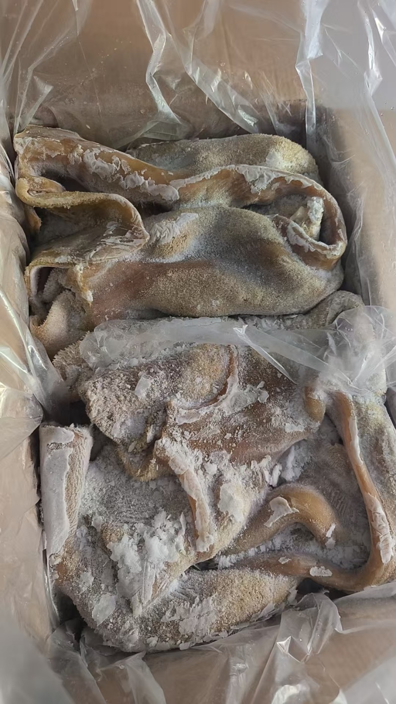 清水煮熟牛肚，纯干不碱发，牛肚火锅，小炒，牛肚汤合适