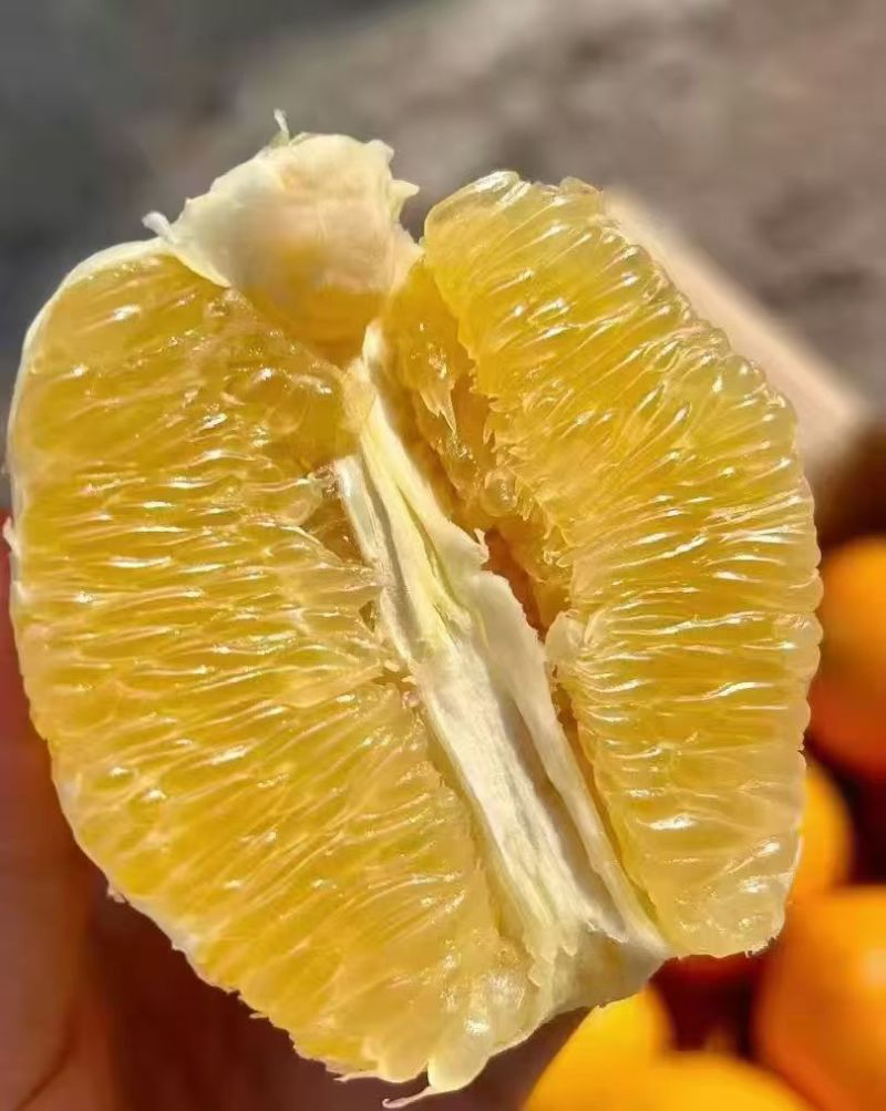 赣南脐橙一箱10斤