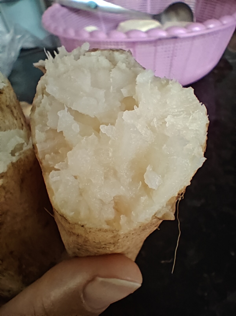 白哈密，软糯香甜，冰糖心