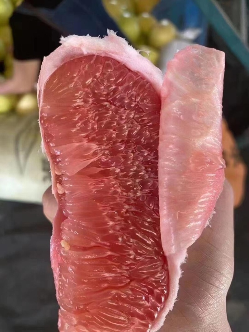 湖北红柚