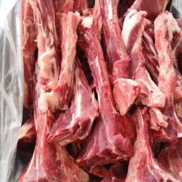 母猪尾骨10kg/箱信号鲜分