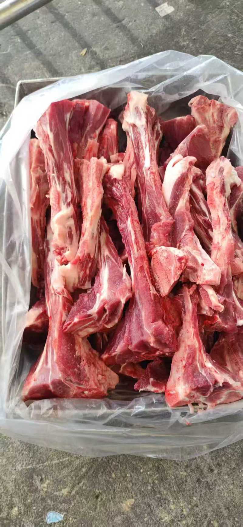 母猪尾骨10kg/箱信号鲜分