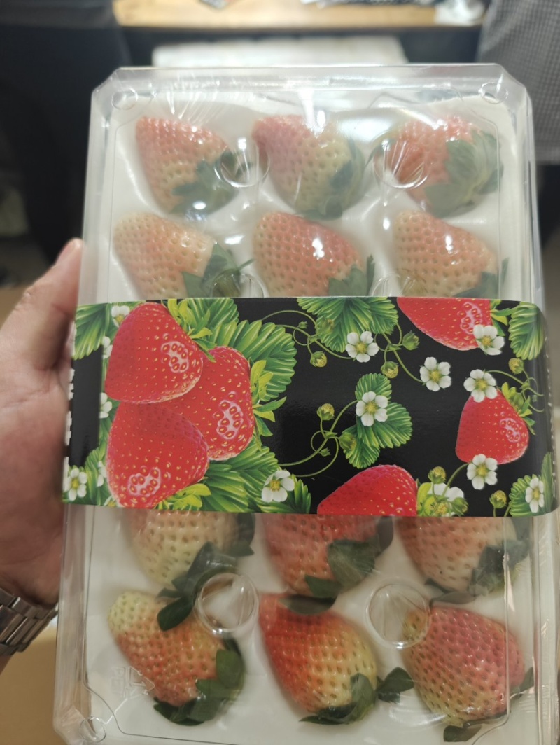 大凉山冬草莓商用草莓新鲜烘培奶茶蛋糕糖葫芦商用批发