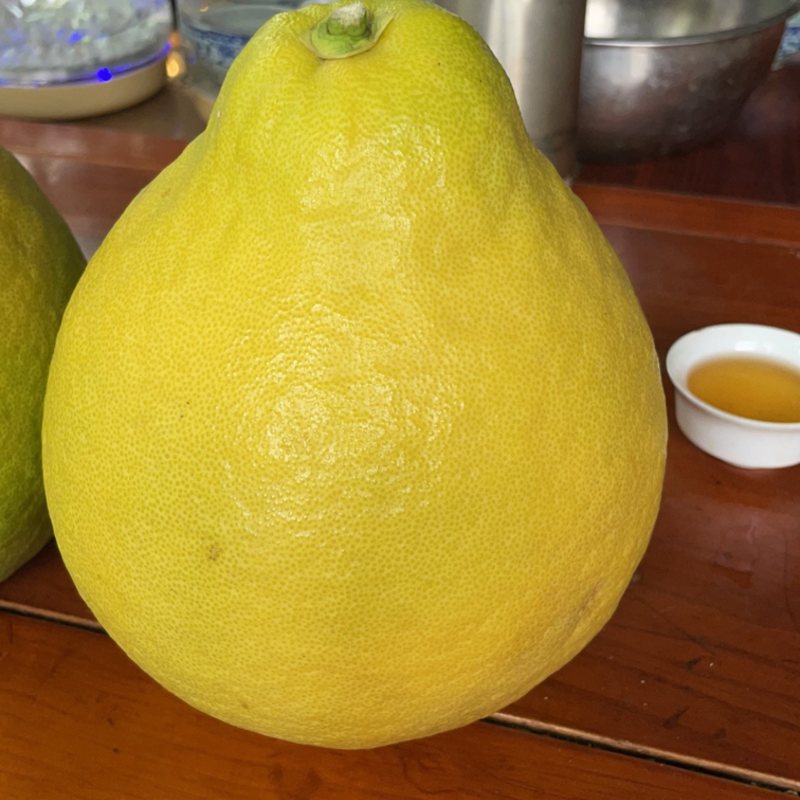 梅州沙田柚