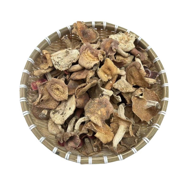 秋上新杂菌青头松菌等菌味香浓农家采摘特价批发