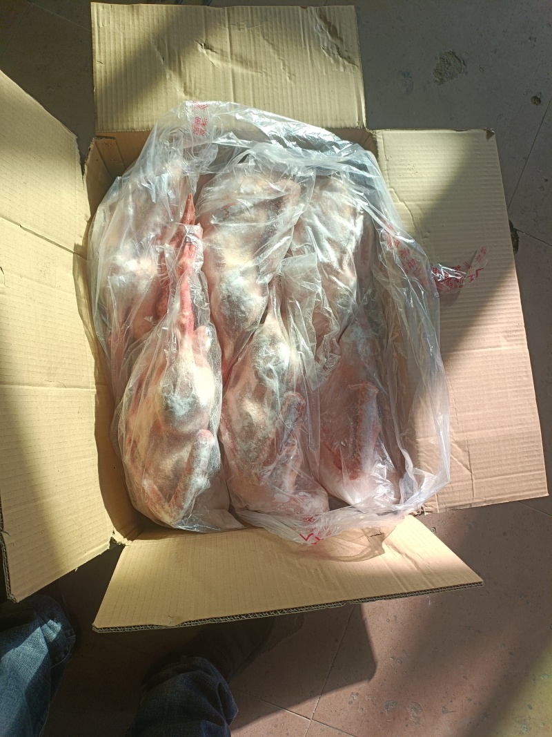 东北白条鹅全鹅