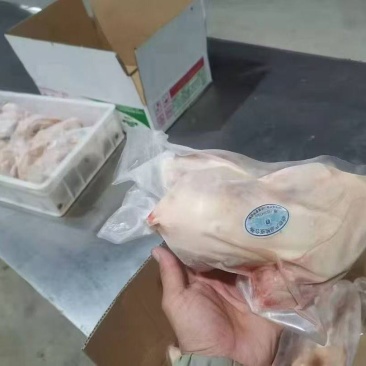 山东源头西装鸡