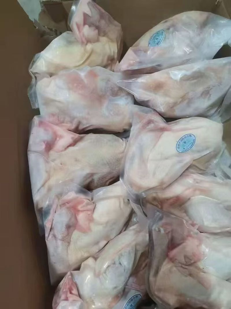 山东源头西装鸡