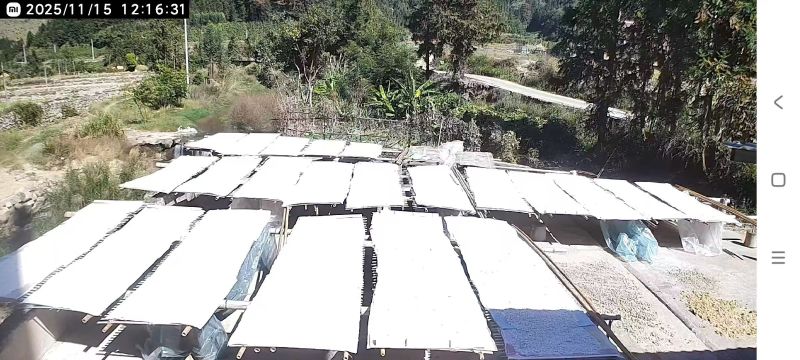 纯手工地瓜粉