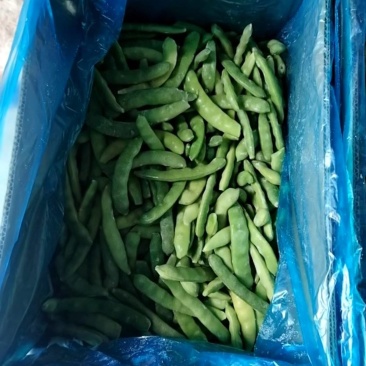 东北特产速冻油豆角
