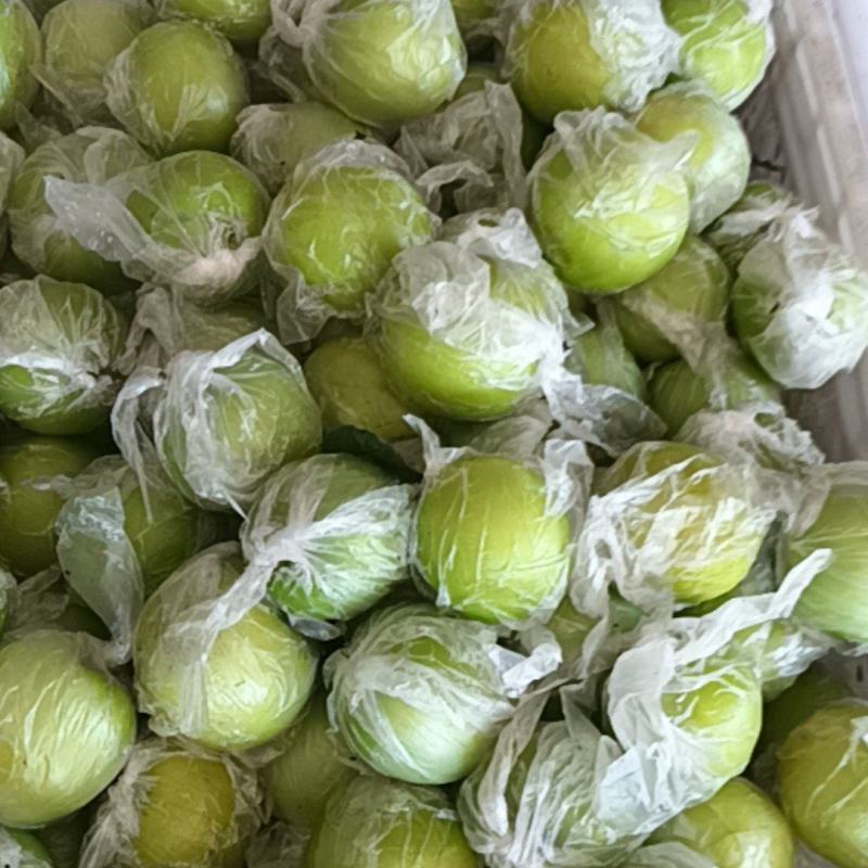 牛奶蜜枣上市了！
