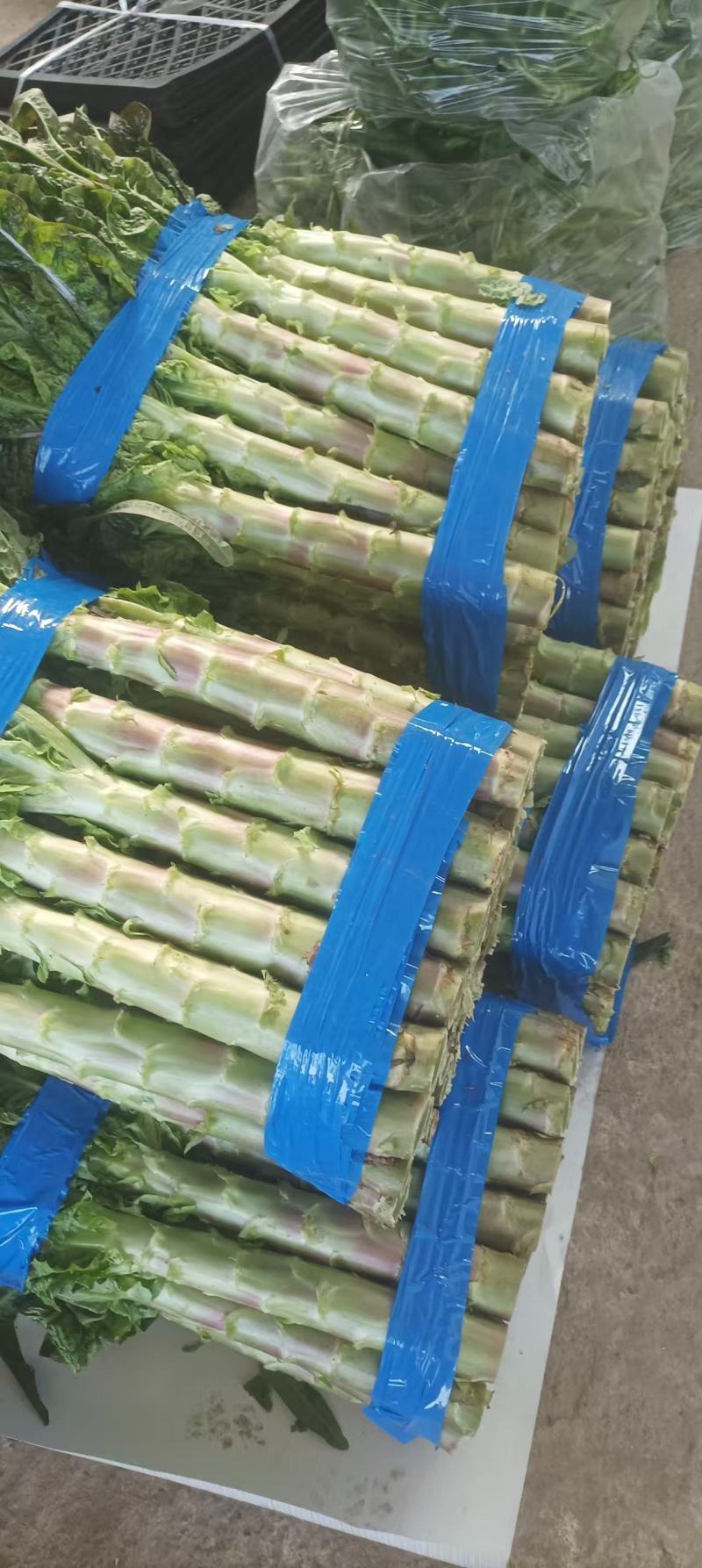 莴苣大量有现货，保质保量，