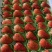 红颜🍓草莓