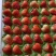 红颜🍓草莓