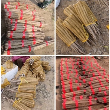 山药电商品假铁棍白玉双棒小白嘴紫药麻山药铁棍