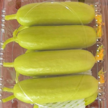 香小白水果黄瓜