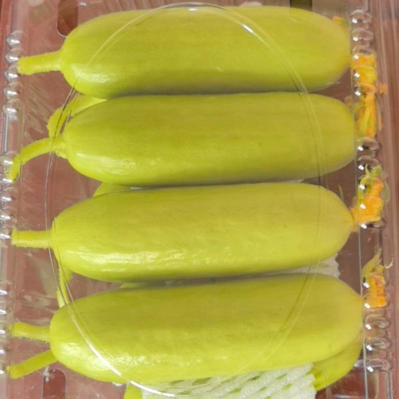 香小白水果黄瓜