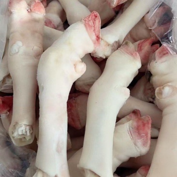 滩羊白羊蹄一斤3个多