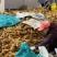 江西特产黄泥冬笋新鲜冬笋切头笋野生黄泥嫩笋楠竹笋现挖现卖
