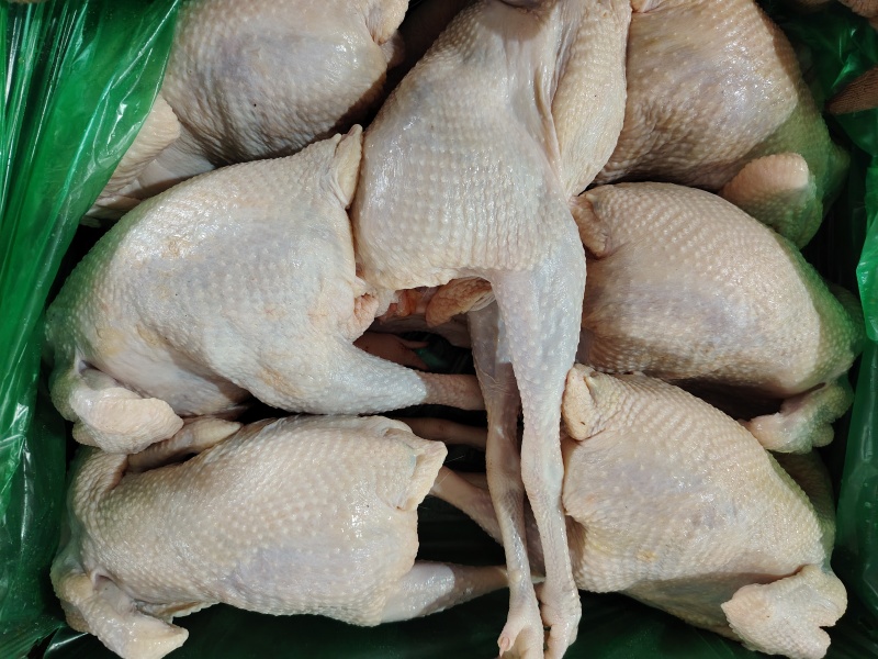 冻品淘汰老母鸡白条鸡，一手货源，保质保量，可视频看货